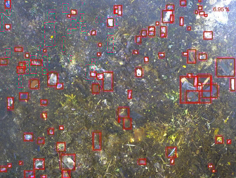 Green waste contamination