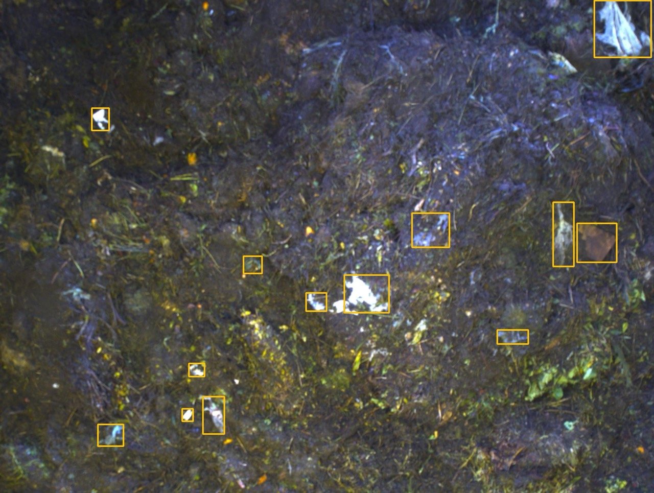 Turning organic waste into insight with AI