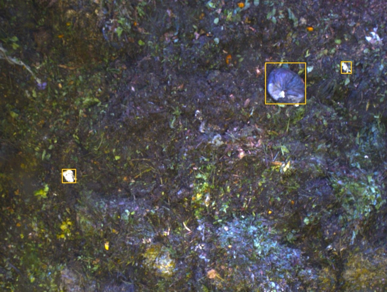 Turning organic waste into insight with AI